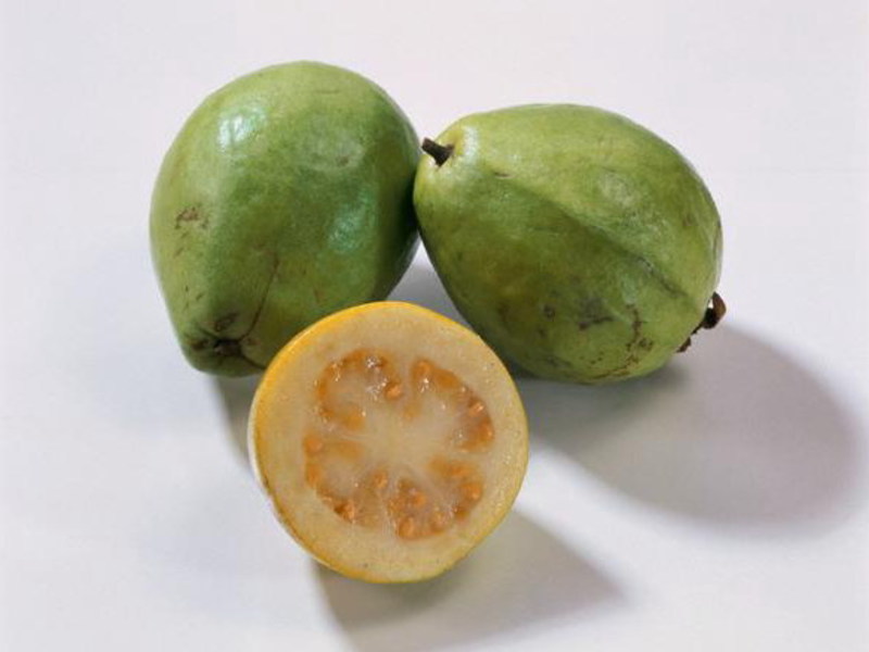 Mengapa Jambu Batu Sangat Baik