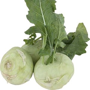 Kubis Kohlrabi