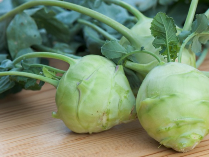 Kubis Kohlrabi dan nilainya