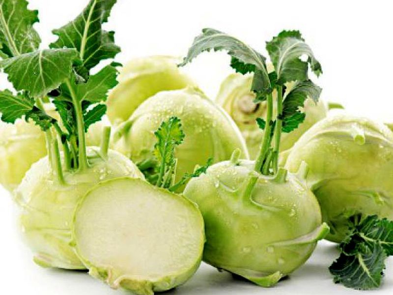 Kubis Kohlrabi