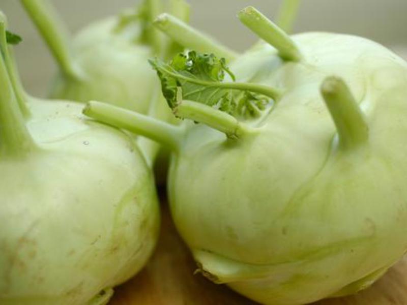 Bagaimana kohlrabi tumbuh