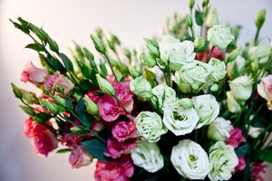 Lisianthus adalah pelbagai jenis bunga ros yang menarik