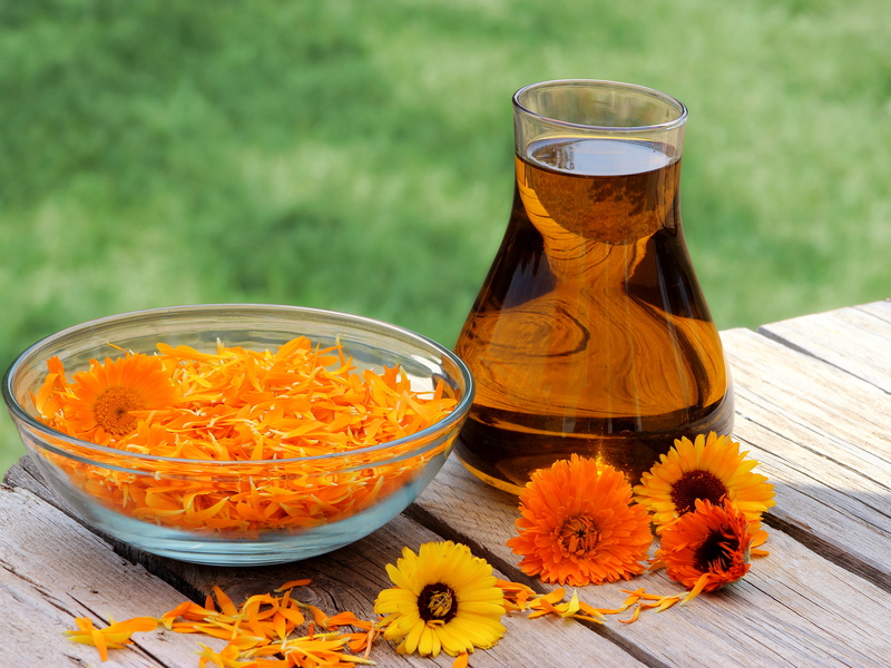 Mengapa calendula berguna?