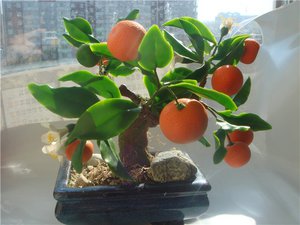 Pencahayaan untuk pokok tangerine