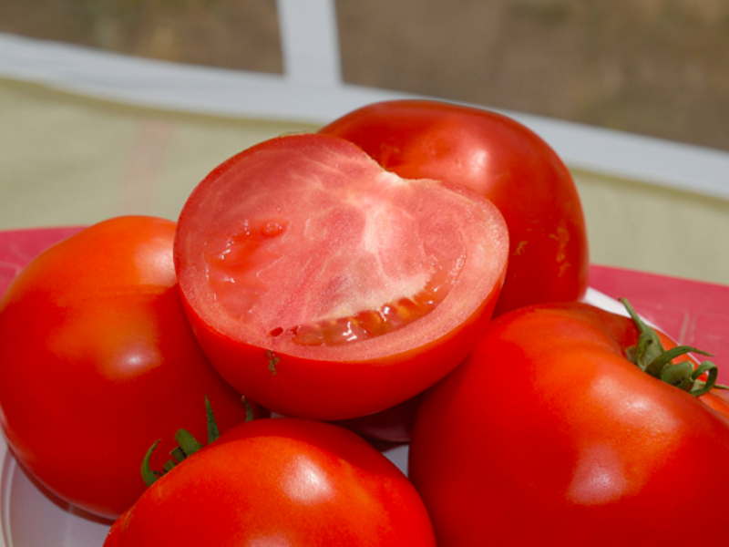 Cara menanam tomato dengan betul