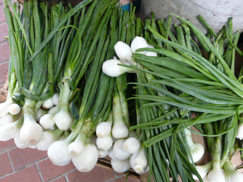 Bawang merah dan kaedah penanaman