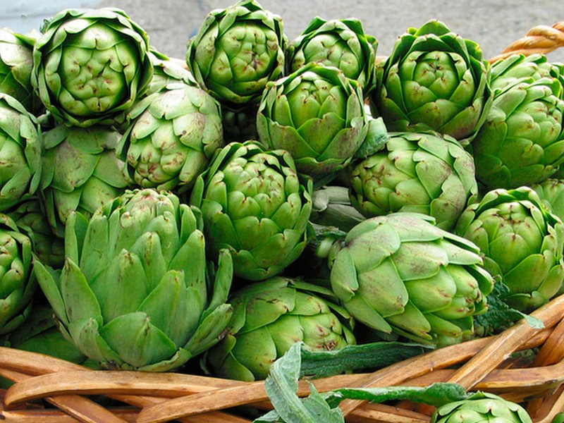 Apakah sifat yang dimiliki oleh sayur artichoke?