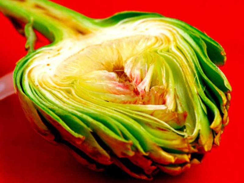 Kilang artichoke