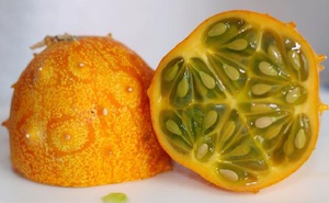 Kiwano - tumbuh buah eksotik dari biji