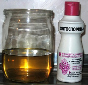 Fitosporin-M - penyelesaian yang dibungkus dan siap digunakan.