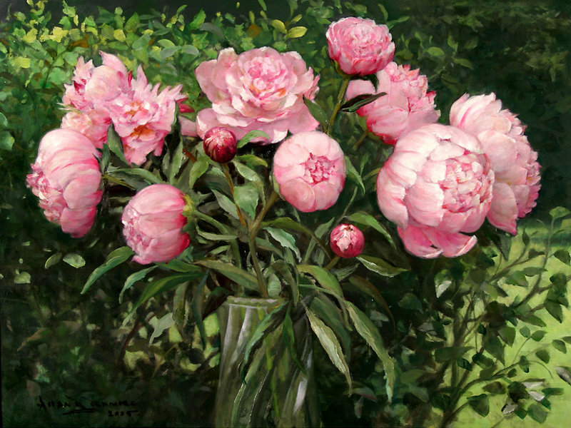 Penampilan bunga peony