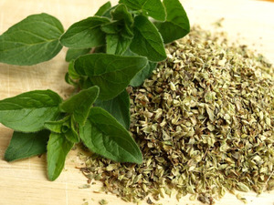 Bumbu oregano sangat popular dan dibuat dari oregano biasa.