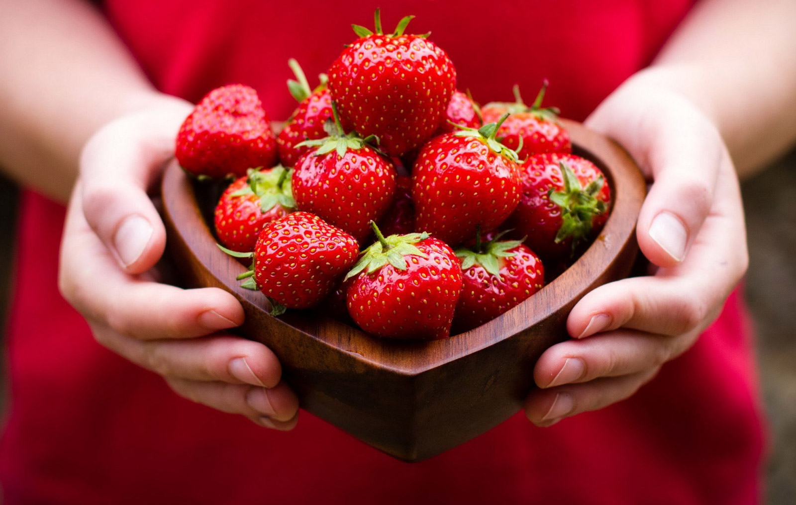 Varieti dan kacukan strawberi - dari yang popular hingga yang eksotik