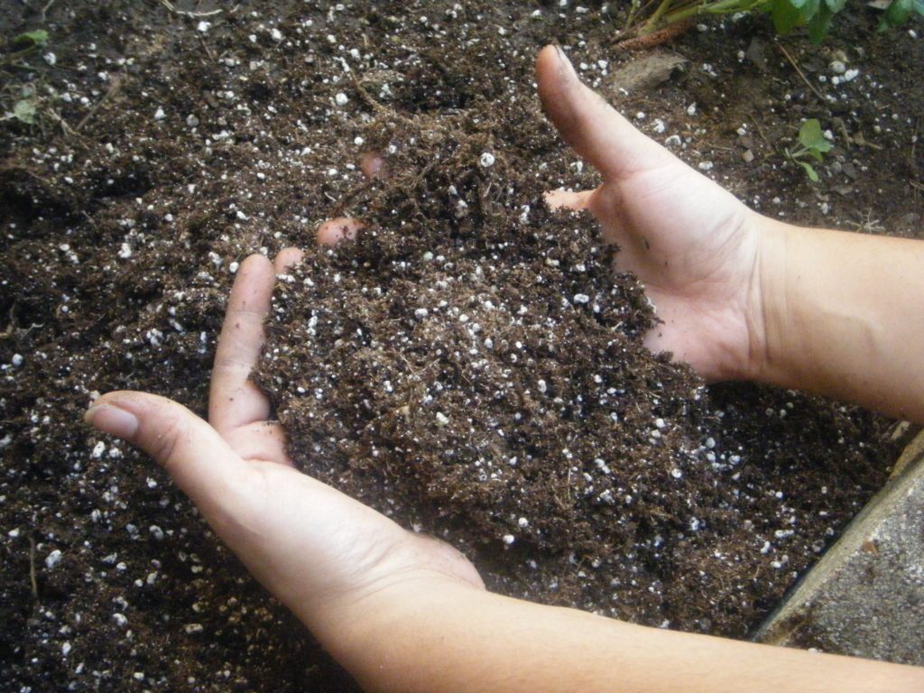 Benih pot pot tanah dan tangan tukang kebun