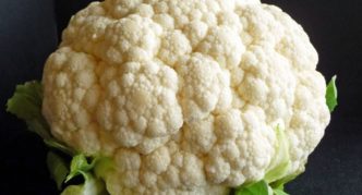 Cauliflower Express MS