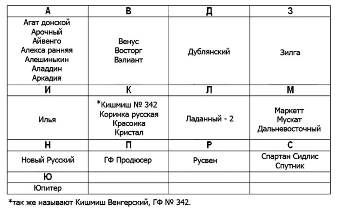 Varieti anggur untuk wilayah Moscow