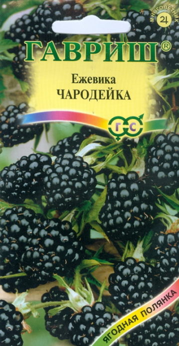 Biji blackberry