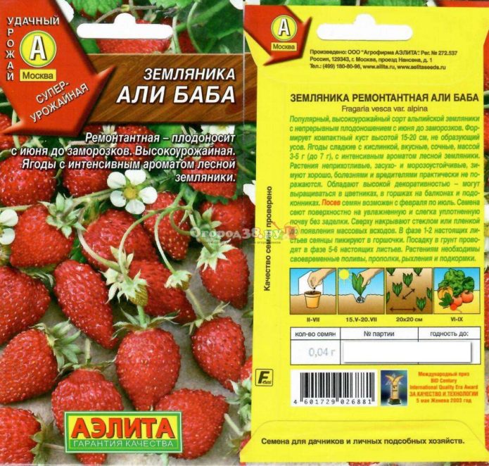 Biji strawberi Ali Baba