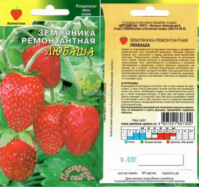 Biji strawberi Lyubasha