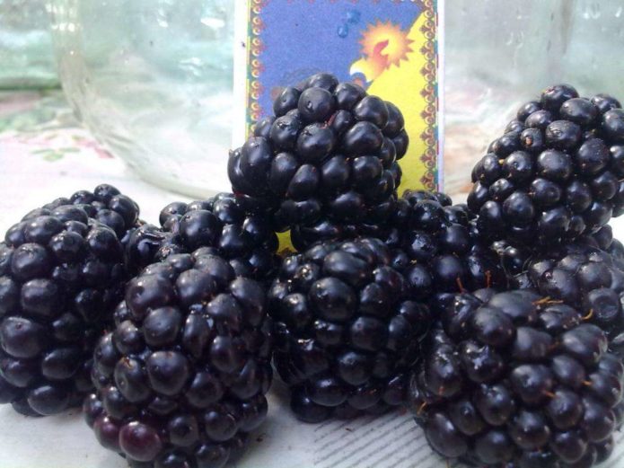 Blackberry