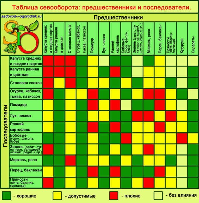 Jadual putaran tanaman