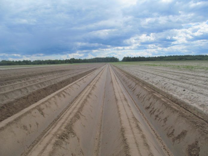 Ladang yang dibajak