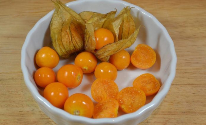 Beri Physalis