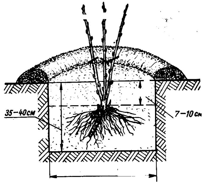 Skim pendaratan