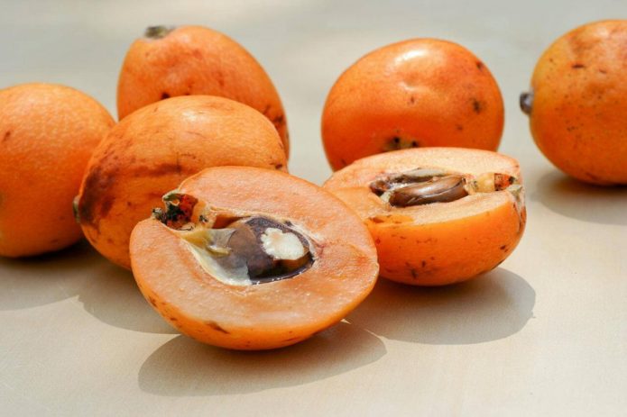 Buah Medlar