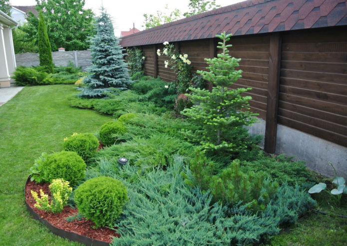 Spruce di mixborder